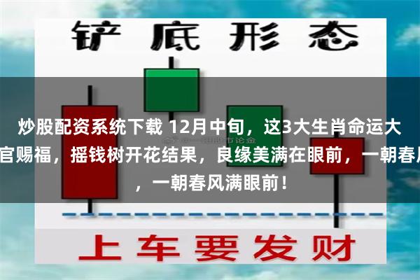 炒股配资系统下载 12月中旬，这3大生肖命运大逆转，天官赐福，摇钱树开花结果，良缘美满在眼前，一朝春风满眼前！