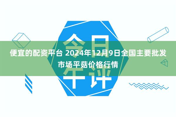 便宜的配资平台 2024年12月9日全国主要批发市场平菇价格行情