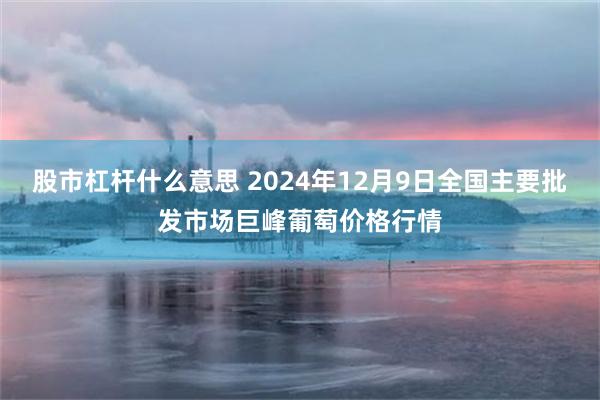 股市杠杆什么意思 2024年12月9日全国主要批发市场巨峰葡萄价格行情