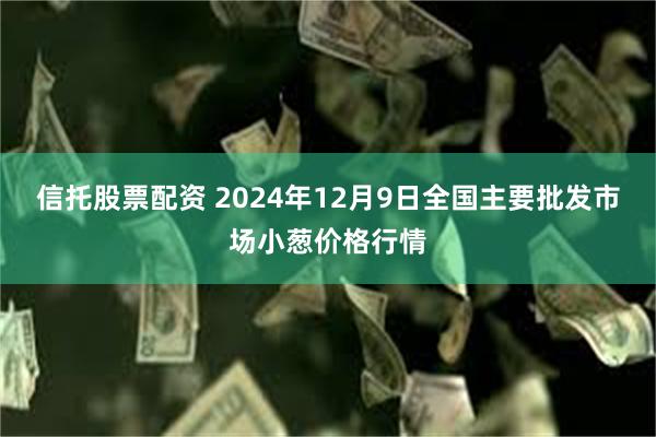 信托股票配资 2024年12月9日全国主要批发市场小葱价格行情