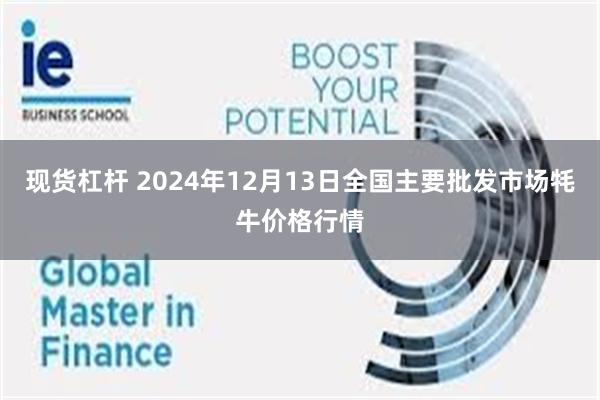 现货杠杆 2024年12月13日全国主要批发市场牦牛价格行情