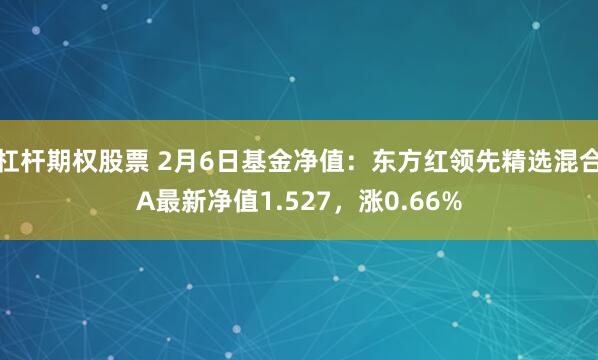 杠杆期权股票 2月6日基金净值：东方红领先精选混合A最新净值1.527，涨0.66%