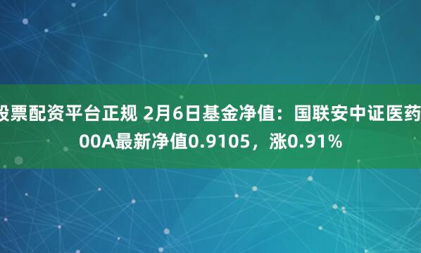 股票配资平台正规 2月6日基金净值：国联安中证医药100A最新净值0.9105，涨0.91%