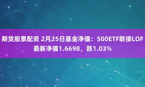 期货股票配资 2月25日基金净值：500ETF联接LOF最新净值1.6698，跌1.03%